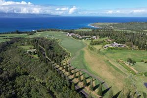 Kapalua (Plantation) 18th Trees Aerial